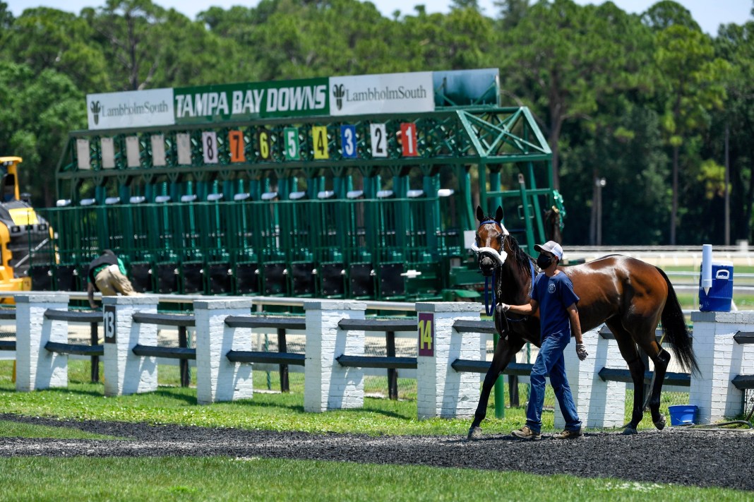 tampa bay downs horse racing picks january 28