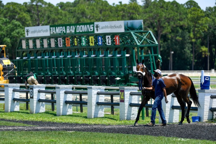 tampa bay downs horse racing picks january 28