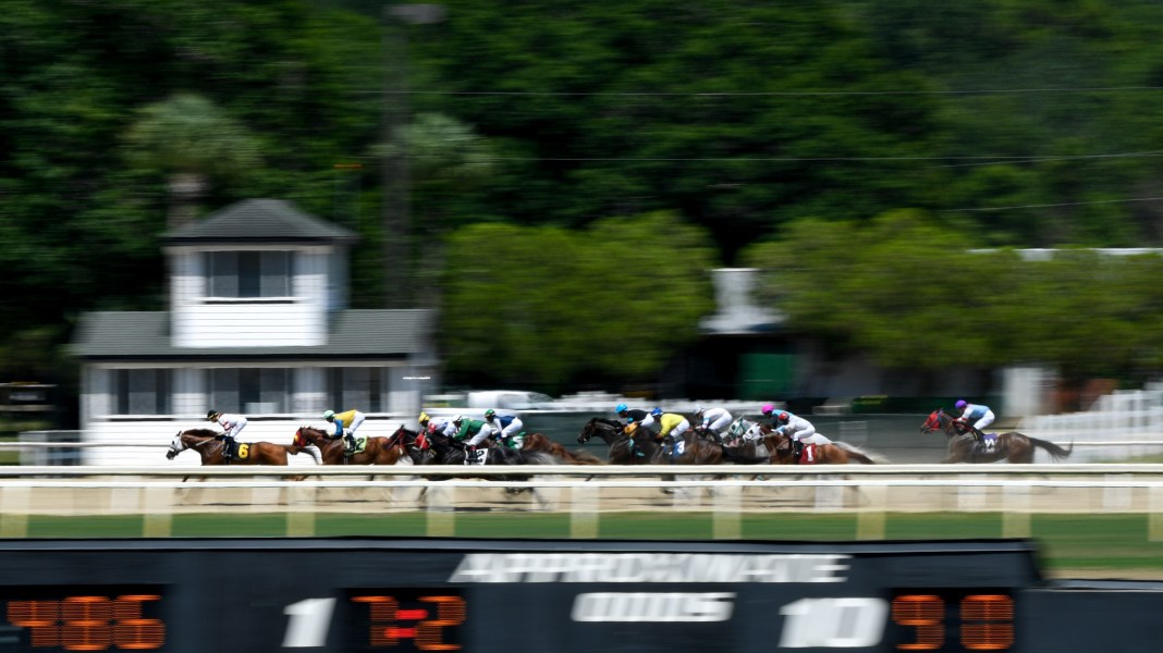 tampa bay downs horse racing