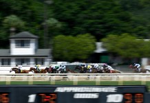 Horse Racing Picks Today at Tampa Bay Downs for Wednesday, January 14 tampa bay downs horse racing