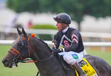 Horse Racing Picks Today at Aqueduct for Sunday, January 11 aqueduct picks january 11