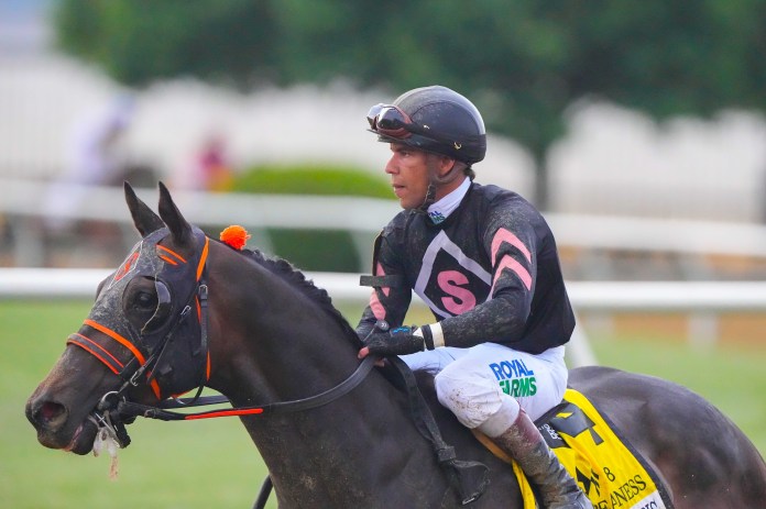 aqueduct picks january 11