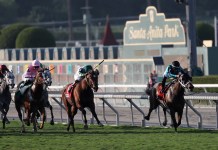 Horse Racing Picks Today at Santa Anita for Thursday, January 8 santa anita horse racing picks today