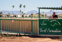 Horse Racing Picks Today at Turf Paradise for Monday, January 26 turf paradise picks january 26