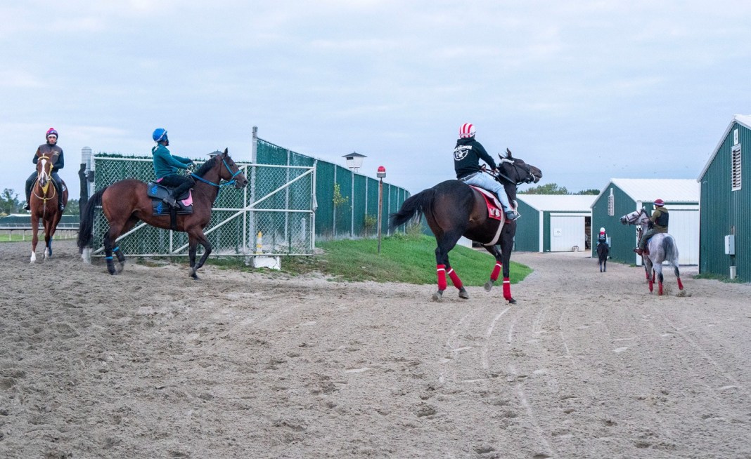 parx racing picks drf january 12