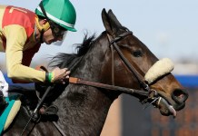 Horse Racing Picks Today at Oaklawn Park for Monday, February 16 oaklawn park picks february 16