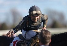 Horse Racing Picks Today at Gulfstream Park for Thursday, February 5 gulfstream park horse racing picks february 5