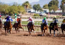 Horse Racing Picks Today at Turf Paradise for Tuesday, February 10 Turf Paradise