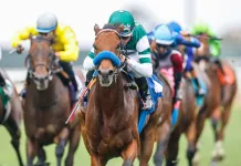 Horse Racing Picks Today at Fair Grounds for Saturday, February 14 horse racing