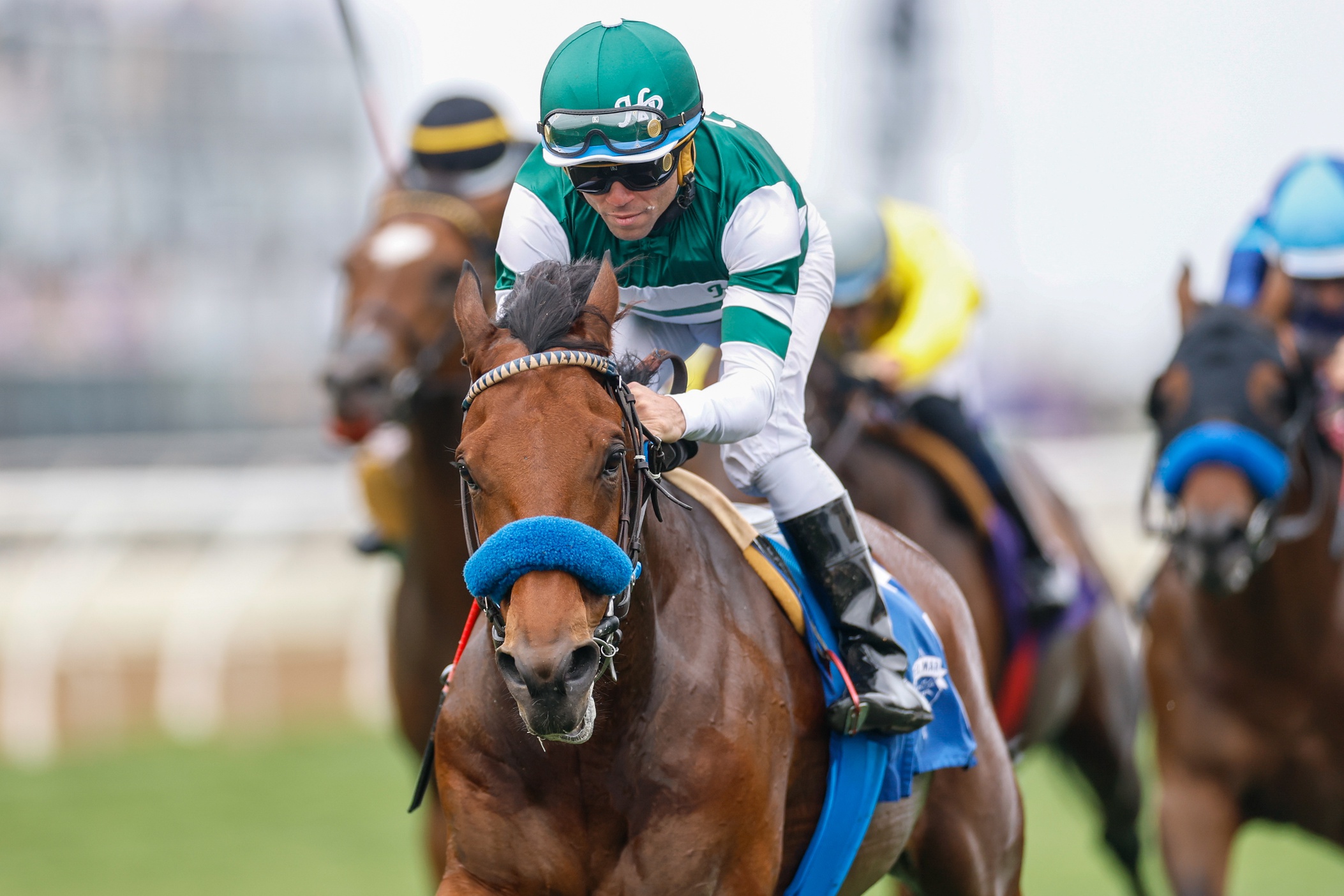 Parx Racing Horse Racing Picks: April 6 DRF Handicapping