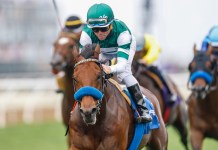 Horse Racing Picks Today at Oaklawn Park for Friday, February 6 Joel Rosario, horse racing