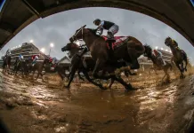 Rooting for Chaos: Why This Race Could Reshape the Kentucky Derby Kentucky Derby