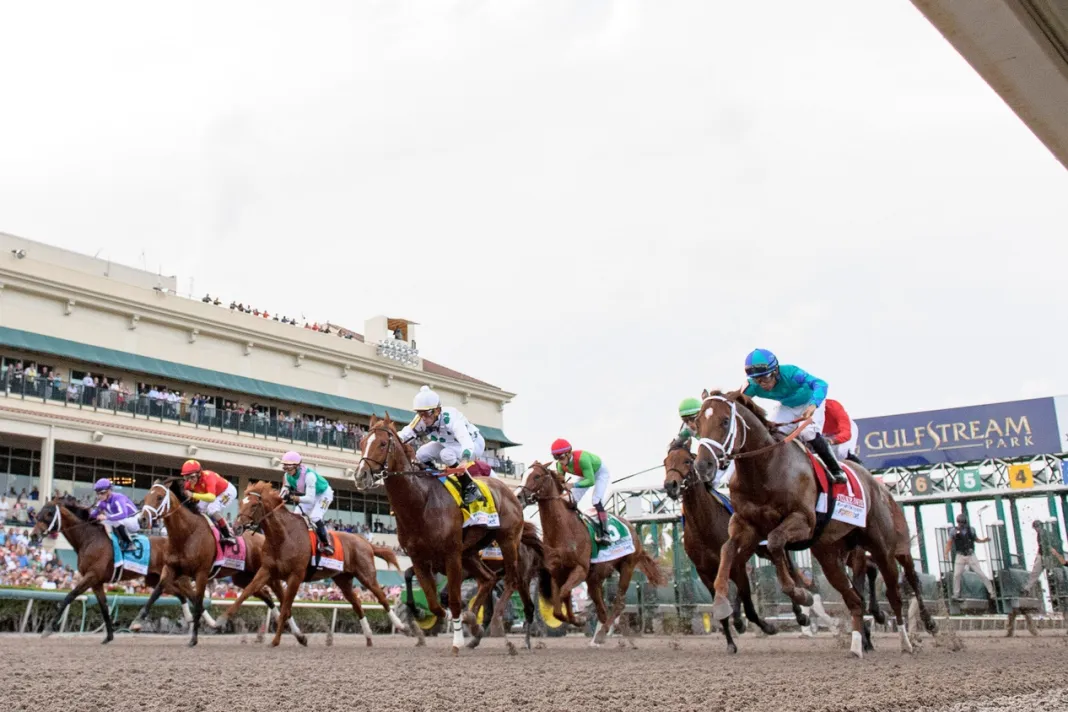 Horse Racing: Florida Derby gulfstream park picks