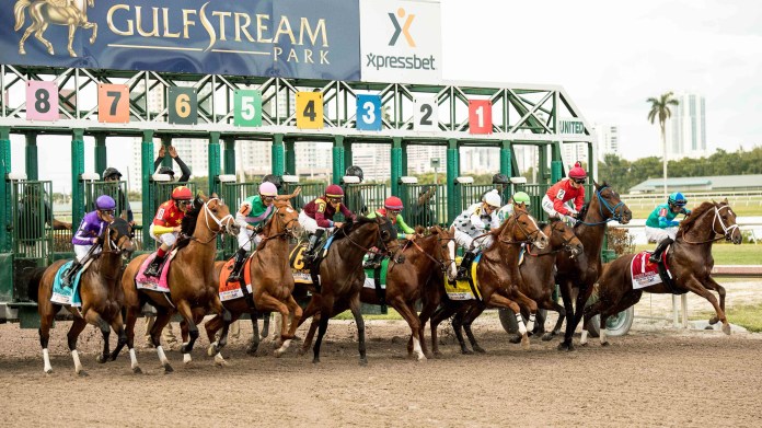 florida derby picks 2026 entries jockeys trainers preview