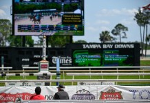 Tampa Bay Downs DRF Picks: Race of the Day for Wednesday, April 1 tampa bay downs drf picks