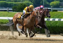 Horse Racing Picks Today at Colonial Downs for Friday, March 13 horse racing