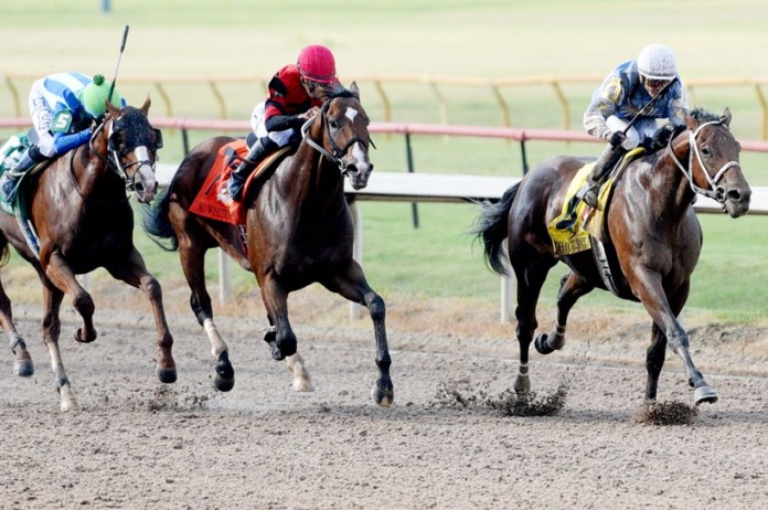 Louisiana Derby, horse racing