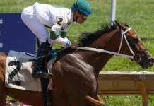 Horse Racing Picks Today at Fair Grounds for Saturday, March 21 horse racing