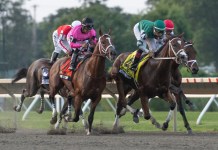 Horse Racing Picks Today at Oaklawn Park for Thursday, March 5 horse racing