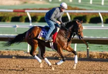 2026 Grade 2 Azeri Stakes at Oaklawn Park: Picks, preview, and analysis nitrogen azeri stakes oaklawn park picks