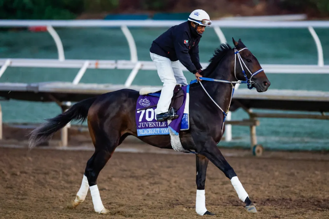 Horse Racing: 2025 Breeders Cup Championship-Workouts blackout time arkansas derby oaklawn park