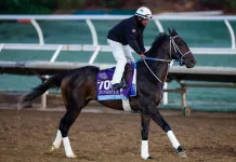 2026 Grade 1 Arkansas Derby at Oaklawn Park: Picks, preview, and analysis blackout time arkansas derby oaklawn park