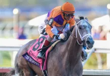 Horse Racing Picks for Saturday, March 7 from Mike Somich horse racing