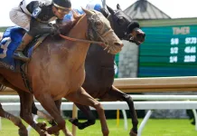 Keeneland Horse Racing Picks and Predictions for Friday, April 3 Keeneland, horse racing