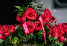 Kentucky Derby 2026 Entries, Horses, Odds, and Predictions kentucky derby preview field horses picks predictions 2026
