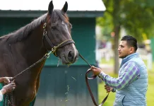 Horse Racing Oaklawn Park Picks Today for Saturday, April 18 oaklawn park picks april 18