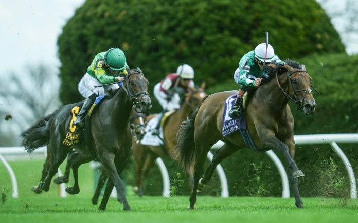 Keeneland, horse racing