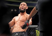 First Strike Model Predictions For UFC 328: Chimaev vs Strickland ufc 328
