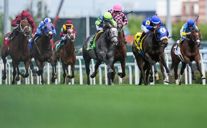 churchill downs, horse racing