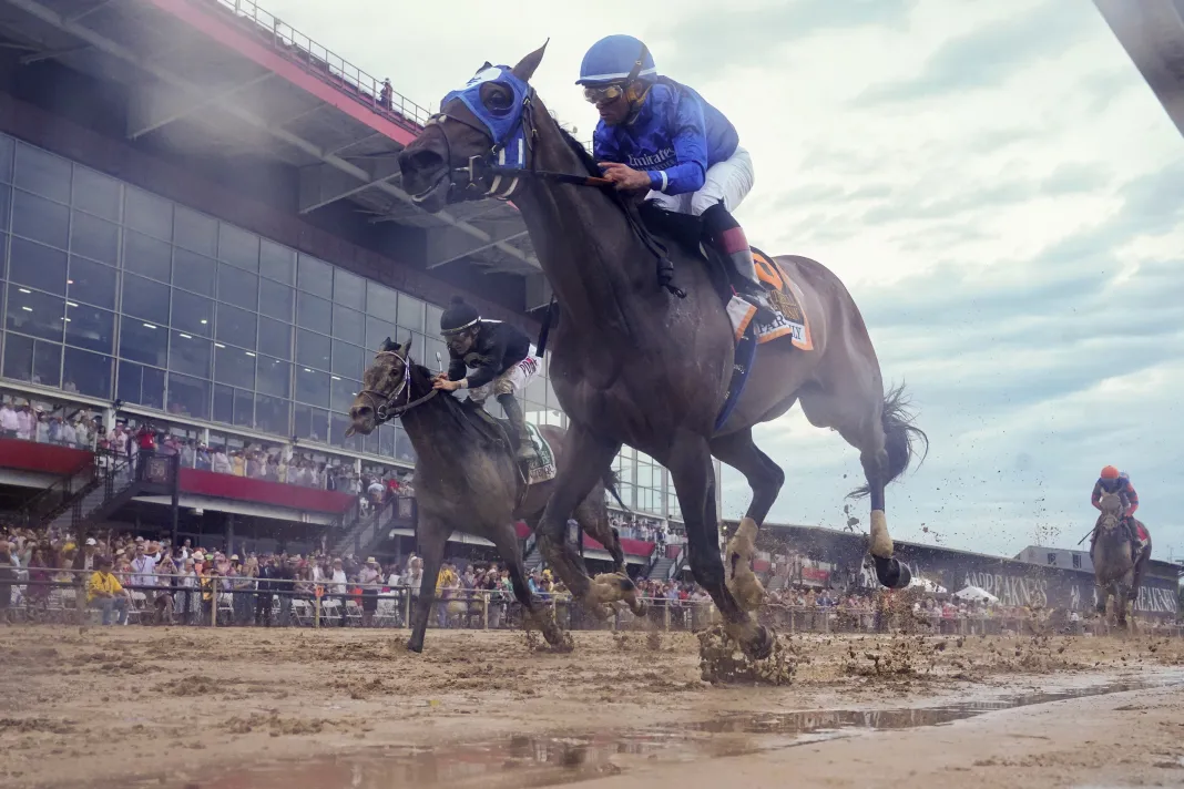 Horse Racing: Black-Eyed Susan Black-Eyed Susan Stakes, Laurel Park