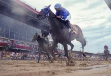 Black-Eyed Susan Day Picks at Laurel Park for Friday, May 15 Black-Eyed Susan Stakes, Laurel Park