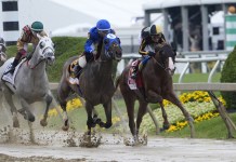 Black-Eyed Susan Stakes at Laurel Park: Picks, preview, and post time for Friday, May 15 Black-Eyed Susan Stakes, horse racing
