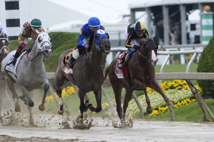 Black-Eyed Susan Stakes, horse racing