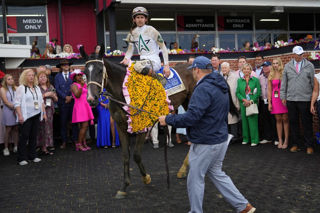 black-eyed susan stakes 2026 preview