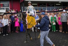 Black-Eyed Susan Stakes 2026 Entries, Horses, Odds, and Predictions black-eyed susan stakes 2026 preview