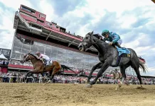 Preakness Stakes Day Picks at Laurel Park for Saturday, May 16 Preakness Stakes, Laurel Park, horse racing