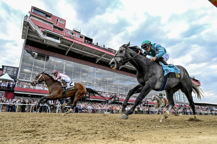 Preakness Stakes, Laurel Park, horse racing