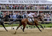 Preakness Stakes at Laurel Park: Picks, preview, and post time for Saturday, May 16 Preakness Stakes, Laurel Park, horse racing