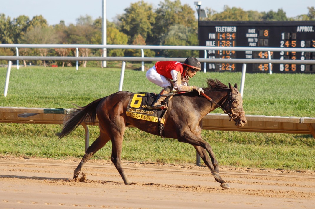 Delaware Park, horse racing