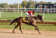 Horse Racing Picks Today at Delaware Park for Wednesday, May 20 Delaware Park, horse racing