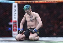 First Strike Model Predictions For UFC Vegas 117: Allen vs Costa ufc vegas 117