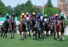 2026 Turf Classic Stakes at Churchill Downs: Picks, preview, and post time Churchill Downs, horse racing