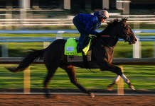 2026 Preakness Stakes Post Draw and Opening Odds 2026 preakness stakes post draw laurel park