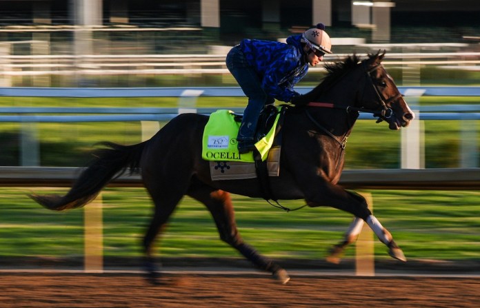 2026 preakness stakes post draw laurel park