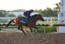 Preakness Stakes Best Bets, Laurel Park Picks & Predictions, Triple Crown Betting Guide preakness stakes laurel park triple crown