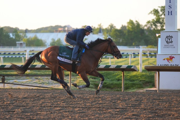 preakness stakes laurel park triple crown